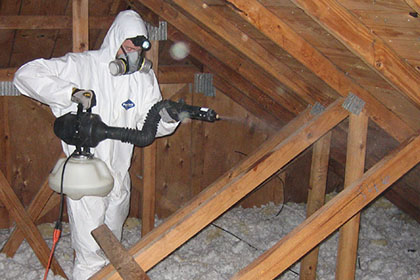 Attic Sanitizing