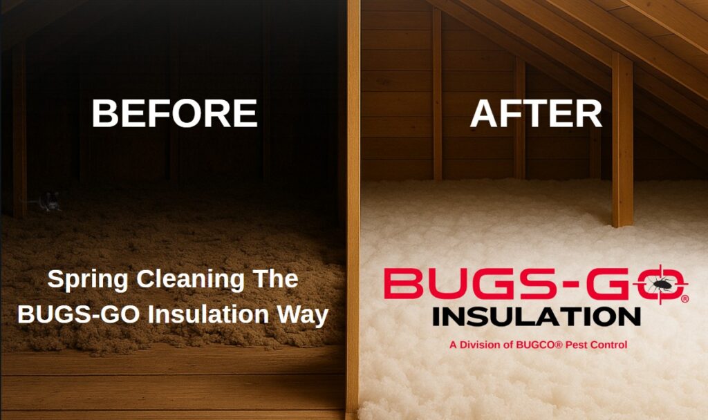 Spring Cleaning Reimagined: How Pest-Resistant Insulation, Sanitation, and Energy Efficiency Combine to Protect Your Home